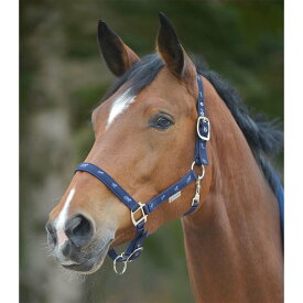 乗馬 無口 WALDHAUSEN リトルホース ホルター 曳手は付属しません 乗馬用品 馬具 ヴァルドハウゼン 乗馬用品ジョセス