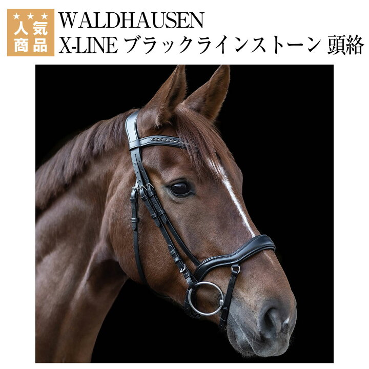 楽天市場】乗馬 頭絡 額革 WALDHAUSEN X-LINE ブラックラインストーン  