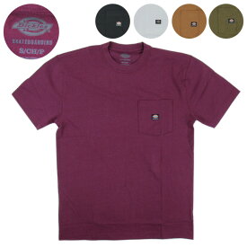 Dickies SKATEBOARDING ポケットTシャツ WSSK11