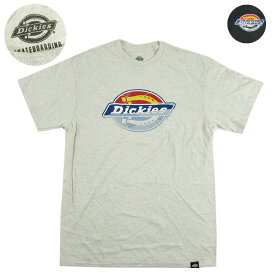 Dickies ディッキーズ グラフィック Tシャツ WSSK2