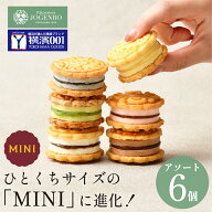 横浜中華街 ミニチーズケーキ月餅 6種6個入 (小豆・黒胡麻・チョコレート・ピスタチオ・マンゴー・木苺/…