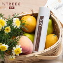 【公式】ドライシャンプー バイツリーズ リフレッシュエアドライシャンプー 80g（無香料） byTREES 日本製 ヘアケア シャンプー ドライ 汗 湿気 皮脂 ベタつき パサツキ ダメージ 補修 ボディ