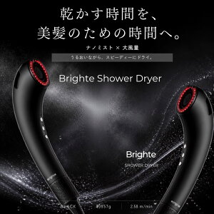 ����舵���L�O�|�C���gUP���y���K�i�zBrighte SHOWER DRYER �u���C�g �V�����[�h���C���[ �u���b�N BRT-SD173 �h���C���[ �w�A�h���C���[ �i�m�~�X�g �啗�� ���� �y�� ���e�t�~�X�g �w�A�P�A ���e