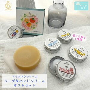 }CEnhN[\[v MtgZbg \[v1nhN[1̃Zbg Iׂ鍁5 e΂ێ g 2025N5xԗDǃVbv܁NX}XM