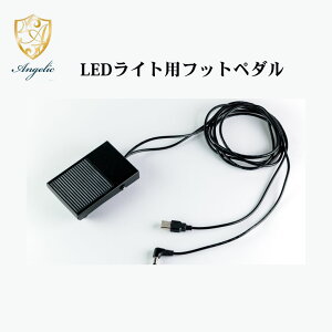 yTpށz܂GNXeLEDCgp tbgy_ ܂GNCg2025N 5xԗDǃVbv