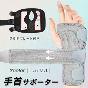 z117#T|[^[ Œ {  ی ewT|[^[ F≊  ɂ P ʋC jp ×p ֐߉ ֐ߒ XgK[h
