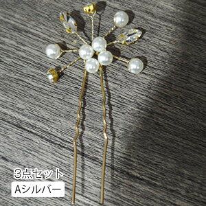 h168# l p[ us 3_Zbg  wAs  S[h Vo[ LL  U 񂴂 w Ǝ ܎O   ܂Ƃߔ