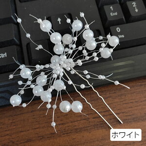 h192#Us   5color wAANZT[ EGfBO  񂴂 wAAW l \ p[eB[ l  wbhhX 