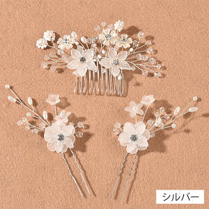 Us wAR[ (h206#)  3_Zbg wAs  񂴂  wAANZT[  p[ w Ǝ ܂Ƃߔ LL  a 