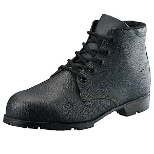 AIZEX/AC[bNX SC ҏC AS22