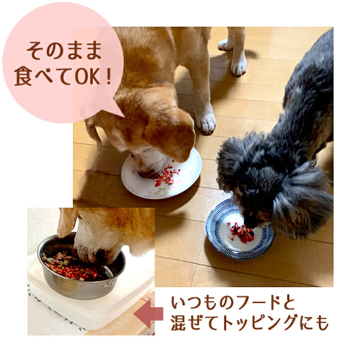 楽天市場 フリーズドライ クランベリー 8g 無添加 犬用おやつ 猫用おやつ トッピング 手作り おやつ あす楽対応 ペットスペース ジョインアス