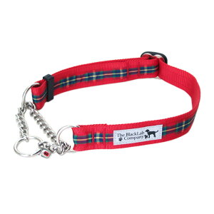 yUEubNuJpj[zIWin[t`[N/^[^bh× LTCY yz