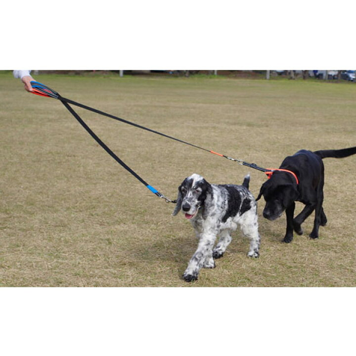 楽天市場 ザ ブラックラブカンパニー オリジナル ムックリードr プクプクレッド Ll S共通サイズ ナスカン大 ポイント10倍 ペットスペース ジョインアス