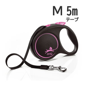 flexi tLV[h ubNfUC e[v MTCY 5m sNy|Cg10{z