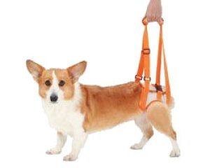 【ペティオ】歩行補助ハーネス(後足用)Lサイズ