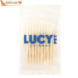 ルーシーペットプロダクツ チューイングボーン スティック ガム 10本入/40g 犬用おやつ トリーツ 【ポイント10倍】