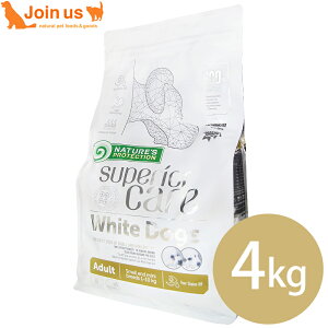 lC`[YveNV zCghbO  A_g 4kg   hbOt[h ܏Ăy|Cg10{z