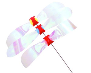 �y�y�b�c���[�g�z�J�V���J�V���т��т��