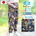 【7/18（金)ご愛顧感謝デー★30％OFFクーポン＆P10倍】婦人服 涼しい 夏 快適 母の日 もんぺ お洒落 3L ビッグ オールシーズン レディースパンツ 和柄 ネコ柄 涼しい お洒落 和調 猫柄 敬老の日