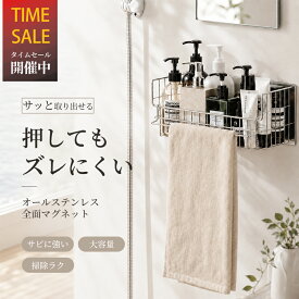 クーポンで2,280円 プロ監修 ステンレス製 マグネットラック 大容量 前低開口 タオルバー付き 浴室ラック バスルームラック 水切れ 磁石 壁面収納 お風呂 棚 バスケット キッチン収納 整理収納アドバイザー 中野 亮 監修