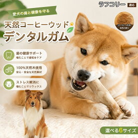 ラフ・コリー 犬 おもちゃ かじり木 コーヒーウッド スティック デンタルケア 噛むおもちゃ 天然木 100% 歯磨き効果 歯石予防 ストレス解消 噛み癖 家具噛み防止 無添加 安全 丈夫 小型犬 中型犬 大型犬 6サイズ
