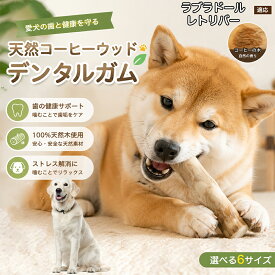 ラブラドール・レトリバー 犬 おもちゃ かじり木 コーヒーウッド スティック デンタルケア 噛むおもちゃ 天然木 100% 歯磨き効果 歯石予防 ストレス解消 噛み癖 家具噛み防止 無添加 安全 丈夫 小型犬 中型犬 大型犬 6サイズ