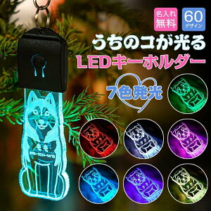 u[v  L[z_[ qD  UCg ybgl[^O LED 60̌VGbg USB[d ybg  [h  y_g  Cg U 킢 l[v