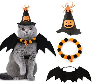 L nEB RX`[ nEB ybg 3Zbg ybgRXv L p Xq RE    J{` w ybgEFA 蕨 RXv RX`[  ϐg 