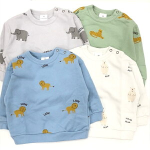 EC^[Z[30OFFy2025H~zSKAPEiGXP[vj \EKg[i[i80`130cmj