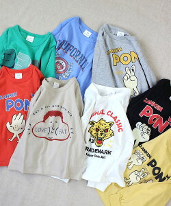 y2025tāzSKAPEiGXP[vj v`vTi80`130cmj