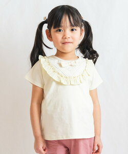 T}[Z[50OFFy2025tāzSKAPEiGXP[vj[XNXTVci80`120cmj