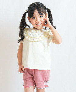 T}[Z[50OFFy2025tāzSKAPEiGXP[vjTCh[XV[gpci80`120cmj