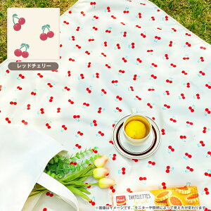 y݌Ɍz H}bg sNjbN h h  R Hׂڂ H}bg 105cm  ܂肽 `}bg }bg ˂V[c ˂΍ xr[}bg Ԃ