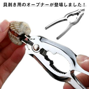 yzn}O y I[vi[ ICX^[iCt nT~ ibcNbJ[ y` ݊ n}OiCt