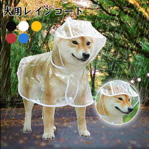 pCR[g ybgCR[g Jbp |` ^ ^ ^ Č ΂ Hc  uh[go[ |jA uhbO ` v[h EFV