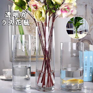 ԕr KX  Ԋ 傫 ֑} t[x[X  20cm 30cm 60cm k CeA G V rO Q    H Ԃт ~   A Vzj z