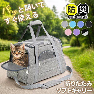 ybgL[ ybgp܂肽݃L[obO e LpL[obO ^L[obO ʋCQ TChI[v L[P[XŒ\ V_[xgt ې