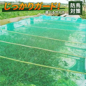 hlbgLJAJo[ hlbg Q΍ h~ \ K[fJo[ ʎی Ԓdی ؕی ʋC ό |pJo[ ƒ؉p ϗtAJo[ pr K