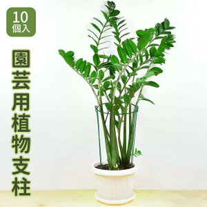 |px K[fxO 10Zbg Rgݍ킹 Ax ؎x g}gx イx o N}`X 鐫A A T|[g  ͔̍| x_؉ Ԓd 