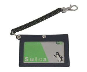 pXP[X   n 琻 RC`F[t w w Z j̎q ̎q lCr[ Lт { Y WRAN[