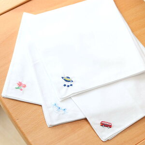  ȃnJ` hJ  ʐ ʊw  w ct wZ q { Y zCg RpNg hJ {  y oX  |Cg Vv 킢  Rbg 28cm i