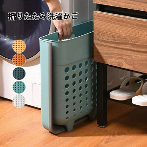  JS 2way JS Ǌ|/ Ǌ|   ܂肽 RpNg 󂩂 t ȃXy[X [ k h h 󕨓 Vv IV  c-shouna-5609-