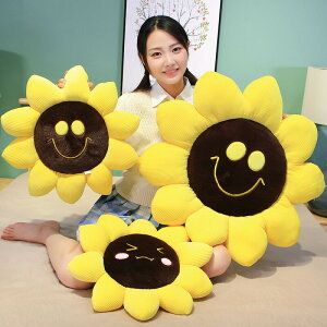  y70cmz ʂ zc   킢  CeA u q}   NbV w fXN[N ݑ  ޏɃv[g 蕨 Mtg c-k