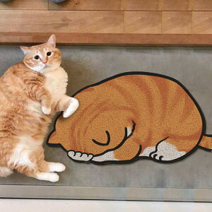  փ}bg lR L ˂ cat Lbg Q gC  Ki}bg hA}bg oX}bg ӂ}bg z 42x80cm ~ h΍  LYh~ K ӂӂ TT V