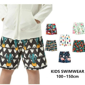   j̎q T[tpc LbY  Cp LbYT[tpc bVK[h LbY  q q jq    O΍ 110cm 120cm 130cm 140cm 1