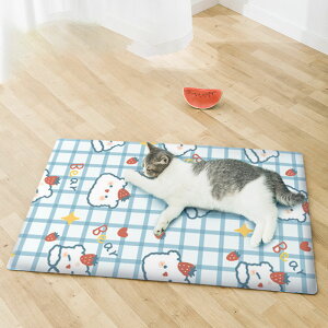  ybg}bg 45*60cm  hbO L Lbg ΍ Ђ  L p}bg ăybgpi  ⊴xbh N[}bg  ڐG⊴ ₽ N[}bg ₦}b