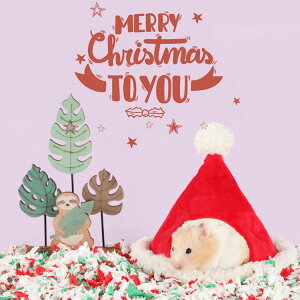  pnEX NX}X Xmas Xq N `` tNK t@V[bg nbN  ~ Q h ۉ _炩 g  xe tH~p 