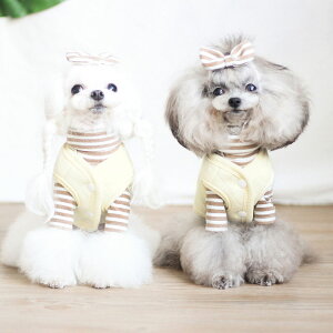  ybg̕ }`[Y xXg 2_Zbg L lR  RX`[ ʐ^ Be  ȒP ւ L ʔ ϐgObY ybgpi  ʋC _炩 RXv