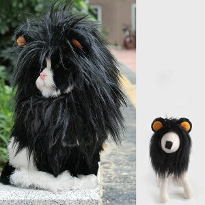  ybgXq nEB Halloween CI lion }WN^Cv  EȒP  Lnbg ybgpRXv ^ L  L[g ւ ϐgObY ybgpi p[