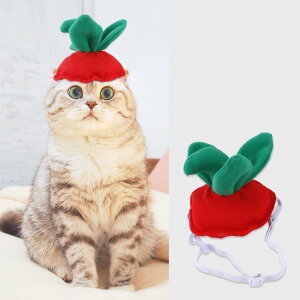  ybgXq nEB Halloween C`S    Lnbg ybgpRXv Xg[x[ strawberry EȒP ^ L ւ ϐgObY  L[g hbOE